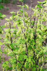 Similar image 11043858