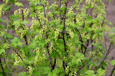 Similar image 11043859