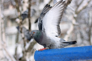 Similar image 11043860