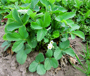 Similar image 10972056