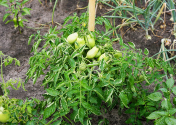 Similar image 10972063