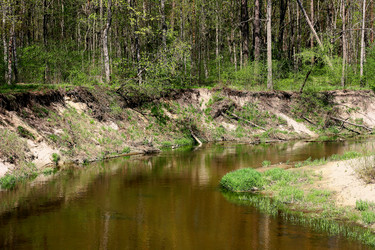 Similar image 10972076