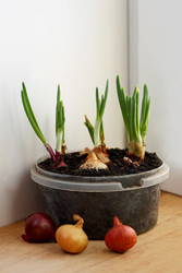 Similar image 10972079