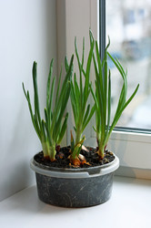 Similar image 10972084