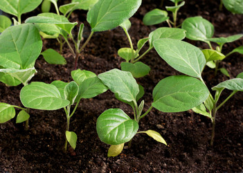 Similar image 10972052