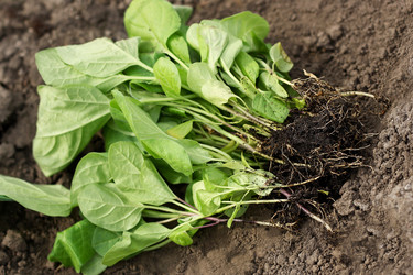 Similar image 10972053