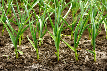 Similar image 10972090