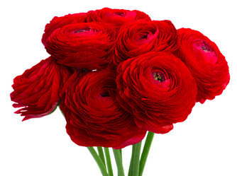 Similar image 11143717