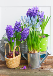 Similar image 11142639