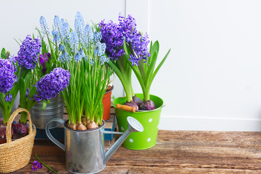 Similar image 11143606