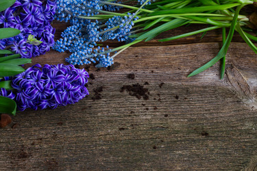 Similar image 11143608