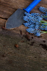 Similar image 11143610