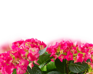 Similar image 11143636