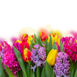 Similar image 11143697