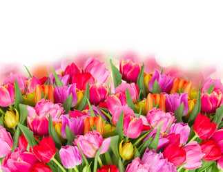 Similar image 11143700