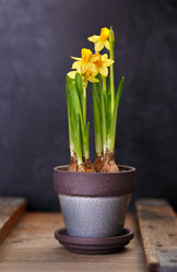 Similar image 10991249