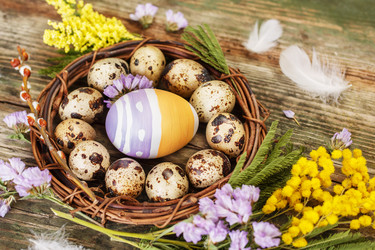 Similar image 10991256