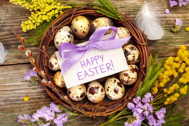 Similar image 10991260