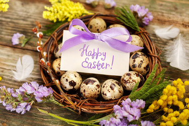 Similar image 10991261