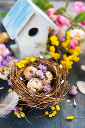 Similar image 10991278