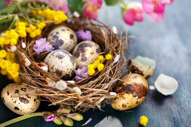 Similar image 10991281