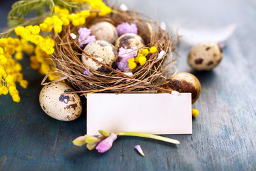 Similar image 10991282