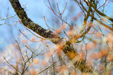 Similar image 10991160