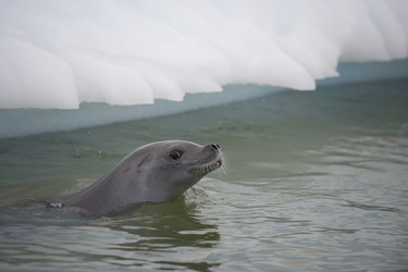 Similar image 11287752