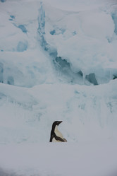 Similar image 11287610