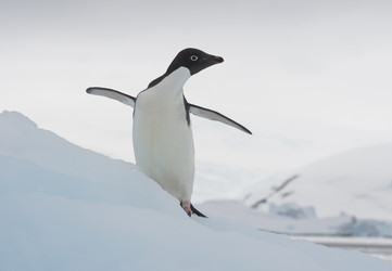 Similar image 11287691