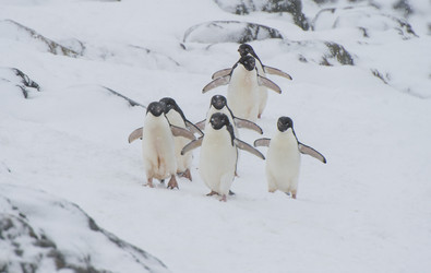 Similar image 11287754