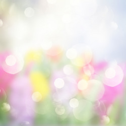 Similar image 11143462