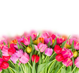 Similar image 11143499