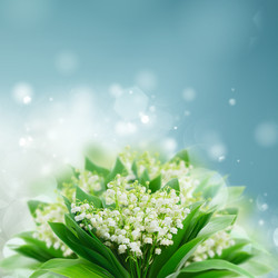 Similar image 11143556