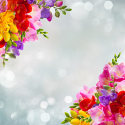 Similar image 11143559