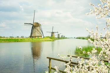 Similar image 11143973