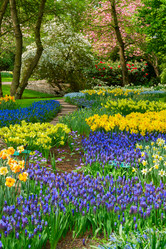 Similar image 11143835