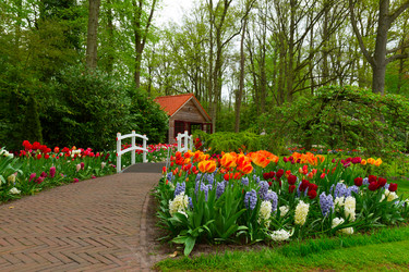 Similar image 11143915