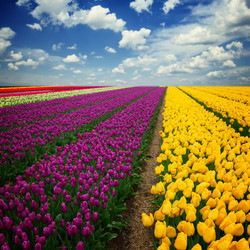 Similar image 11142695