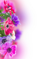 Similar image 11143977