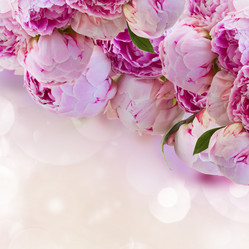 Similar image 11143942