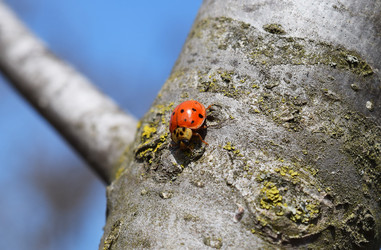 Similar image 10959074