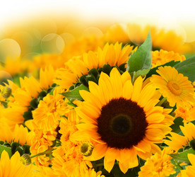 Similar image 11143960