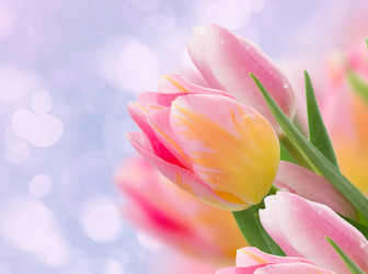 Similar image 11144360