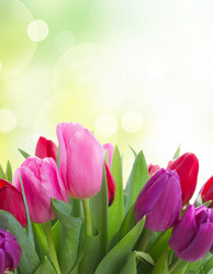 Similar image 11142518