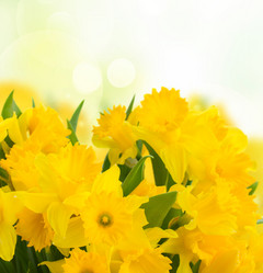 Similar image 11142556