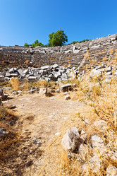 Similar image 10971426