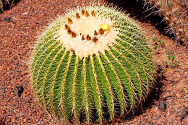 Similar image 10971429