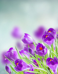 Similar image 11142641