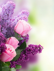 Similar image 11142697